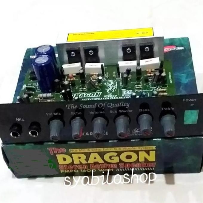 Kit Speaker Aktif Stereo dragon mic echo plus subwoofer MURAH