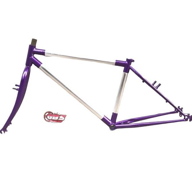 Frame Federal Vintage / Touring Tokai Nos