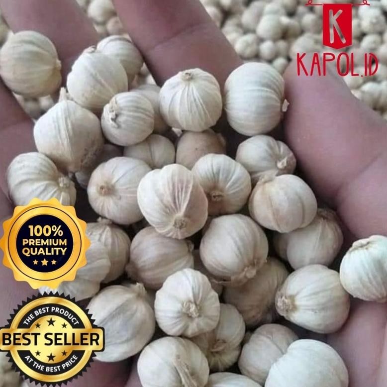 

kapolaga kering 1kg kapulaga 1kg kapolaga premium Nugi