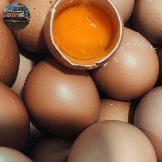 

telur ayam omega 3 is