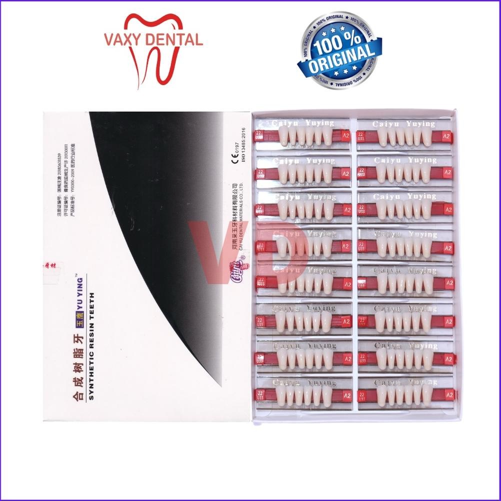 Gigi Caiyu Depan Bawah 1 Box/Dus/Pack/Kotak Isi 16 Papan/Strip Gigi Palsu Merek Cayu Yuying Anterior