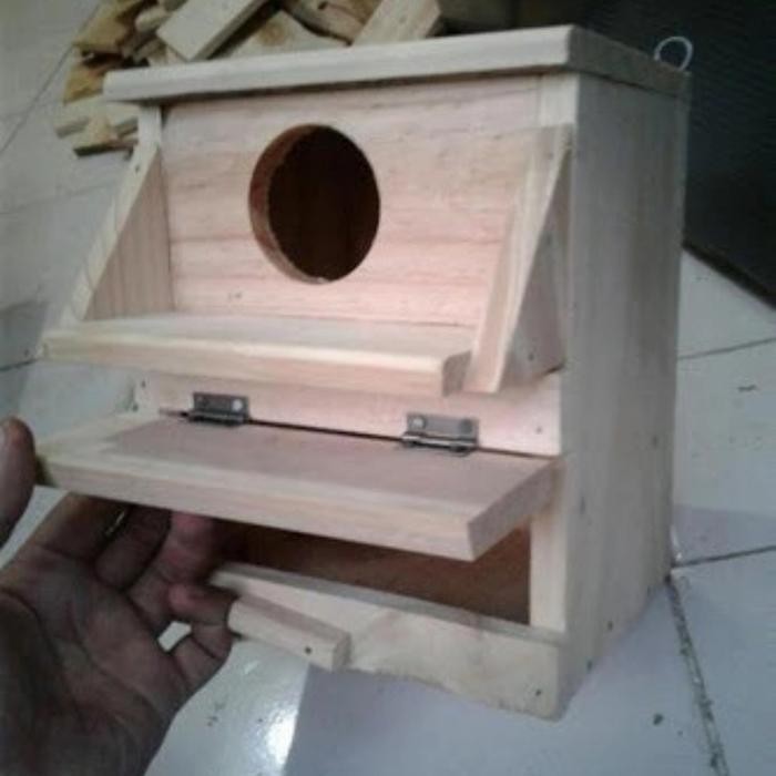 kotak glodok lovebird