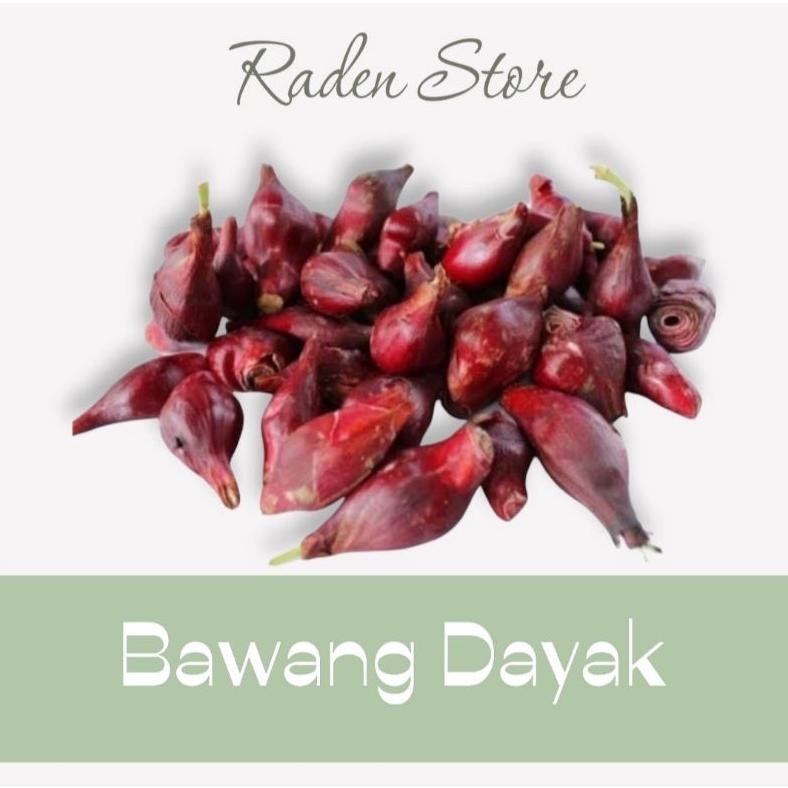 

Bawang Dayak Segar dan Kering 1 Kg Nugi