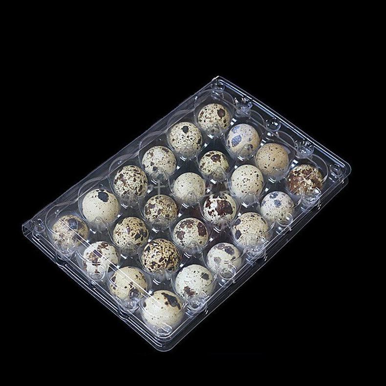 

Telur Puyuh per pack isi 25 Nugi