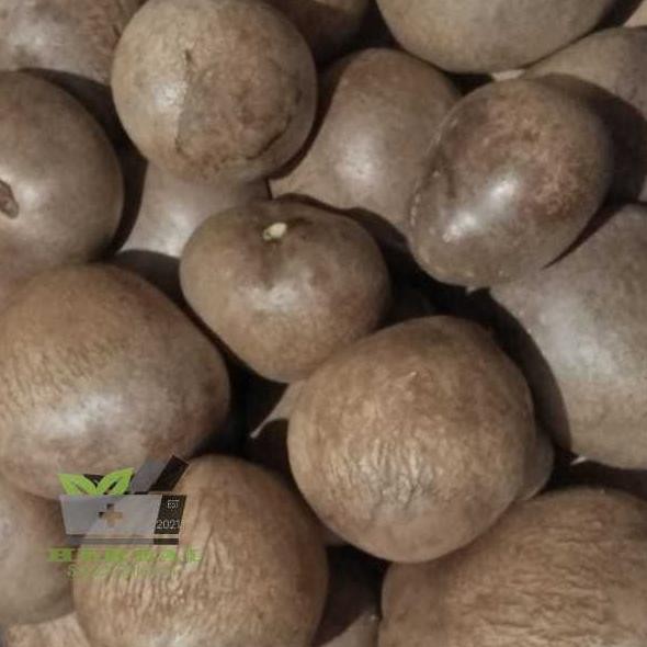 

Umbi Kentang Gantung Fresh 500 gram Nugi