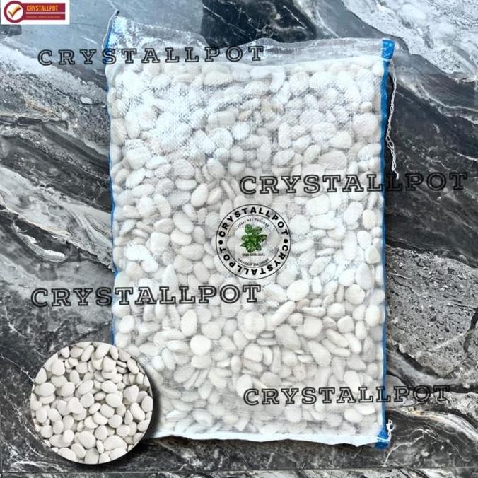 Batu Koral Putih | Batu Taman | Batu Hias 1 Karung