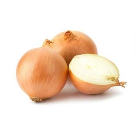 

hanya disini] Bawang Bombay / Onion / Bombai Kecil Sedang Grade A Berkat Foods