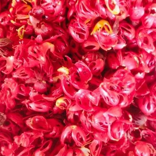 

bunga biji pala kering/fuli/sempra 1kg