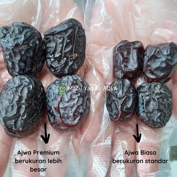 

1 KG KURMA AJWA KURMA AJWAH KURMA NABI ASLI DARI MADINAH HS