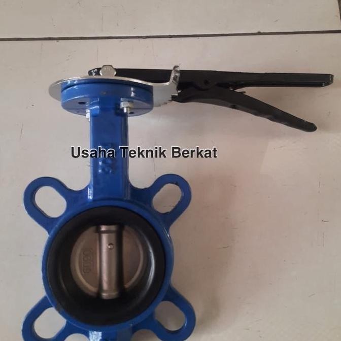 Butterfly Valve Cast Iron (Besi) Type Flange 4" Inch