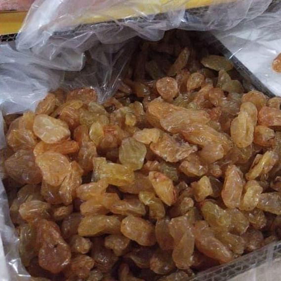 

Produk Unggulan] Kismis kuning besar 500 gram