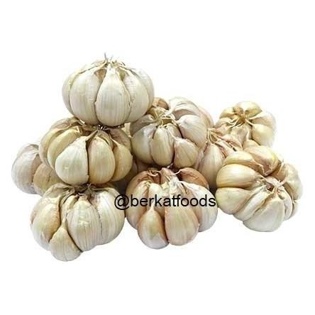 

:<:<:<:<] Bawang Putih Honan 1Kg Segar / Henan / Banci Bersih / Garlic / Lahasun