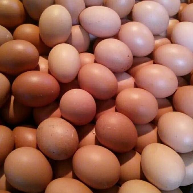 

Produk Baru!! Telur Ayam Negeri Segar Langsung dari Peternak