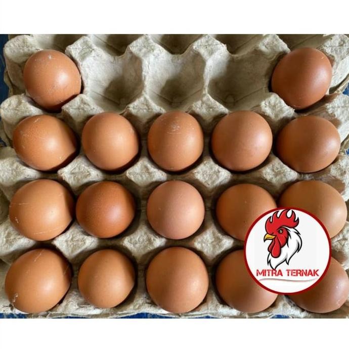 

Produk Baru!! Telur Ayam 1kg (Isi 15-17 Butir) Khusus Bogor Grab Gojek Saja