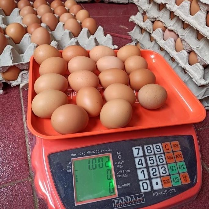 

Produk Baru!! Telur Ayam Negeri 1kg Isi 18-19 Butir Segar Kualitas Super