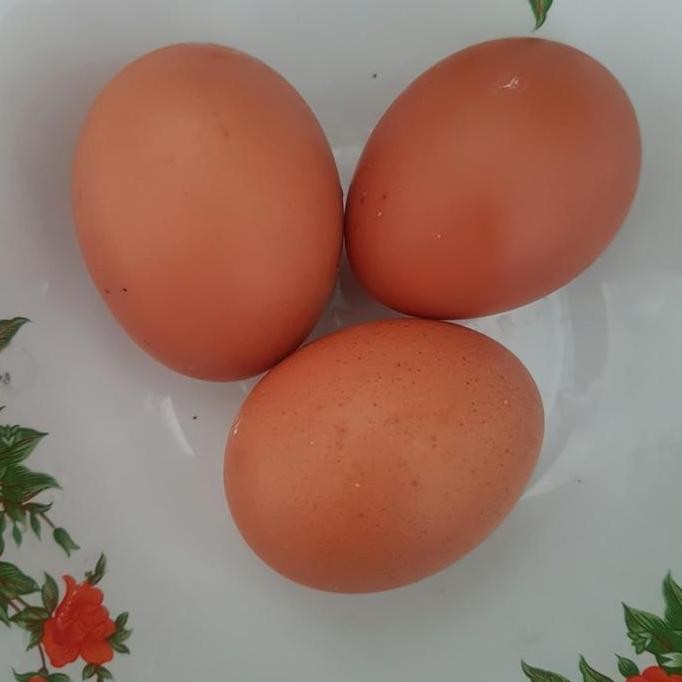 

Produk Baru!! Telur Ayam Negeri 1 Kg Eceran Murah - Harga Grosir Telur Negeri