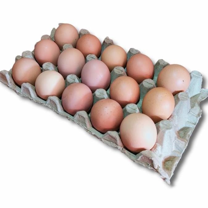 

Produk Baru!! Telur Ayam Negeri Fresh Isi 15 Butir - Telor Harian Grade A