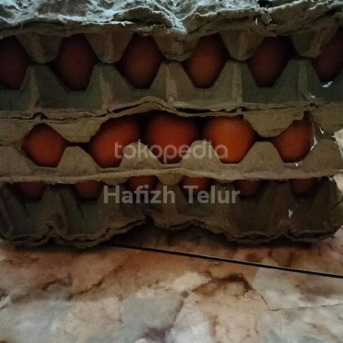 

Produk Baru!! Telur Ayam Negeri 5kg Curah Segar dari Kandang Harga Grosir