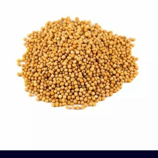 

,,,,,,,] YELLOW MUSTARD SEEDS / BIJI SAWI/ 100 GRAM