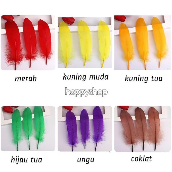 

hanya disini] Bulu Ayam Tangkai Sedang, Bulu Ayam Tegak Sedang