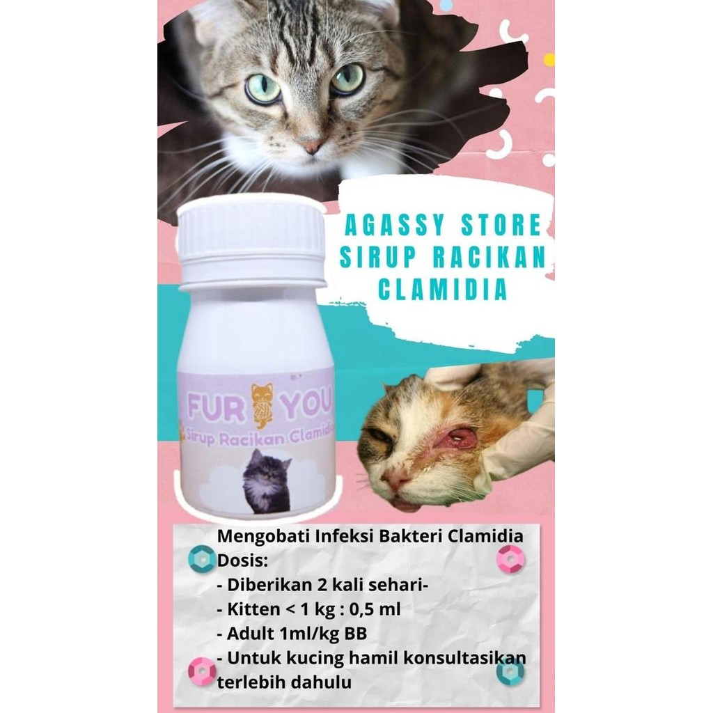 

FurYou Sirup Racikan Clamidia murah