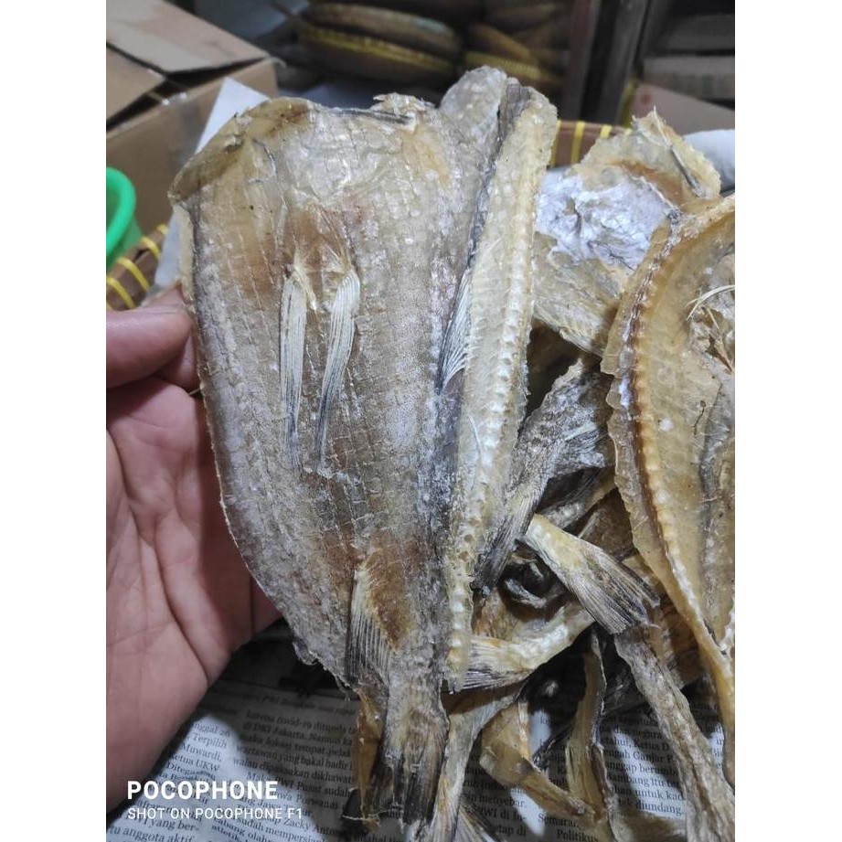 

Ikan Asin Jambrong |Ikan Asin Siting #Gratisongkir