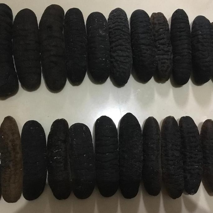 

Teripang Kering/Haisom Kering/Haisen/Gosok/Belitung Size 20-22Ekor/1Kg #Gratisongkir