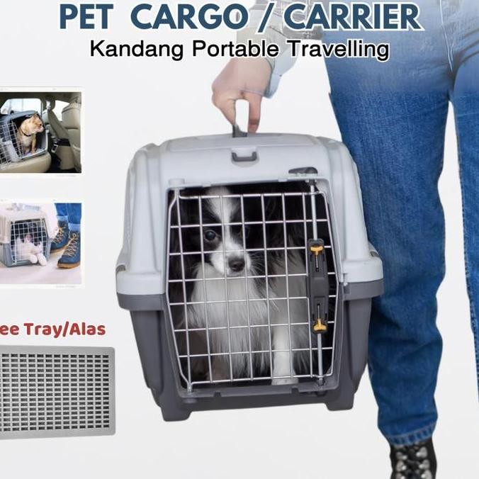 ready Pet cargo kucing anjing - pet cargo - pet carrier