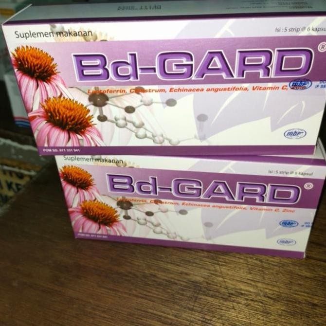 bd gard box murah