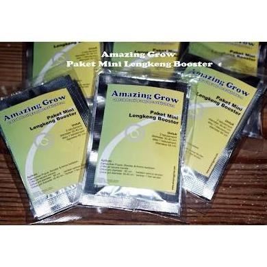 }}}}}}] Lengkeng Booster AG Paket Mini Kelengkeng Tabulampot