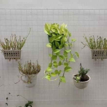 Produk Baru Ram Kawat Tebal 100x150 cm - Wire Mesh Galvanis Kuat untuk Kandang