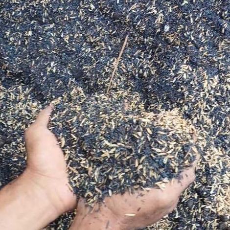 Promo Cod Porous Media Tanam Anggur ><