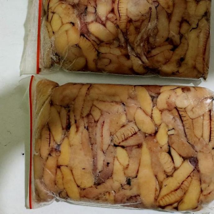 

Terlaris | Terbaru | Best Seller | Termurah Telur Ikan Beranak Panipahan Beku/Ciahunen Original | High Quality | Berkualitas