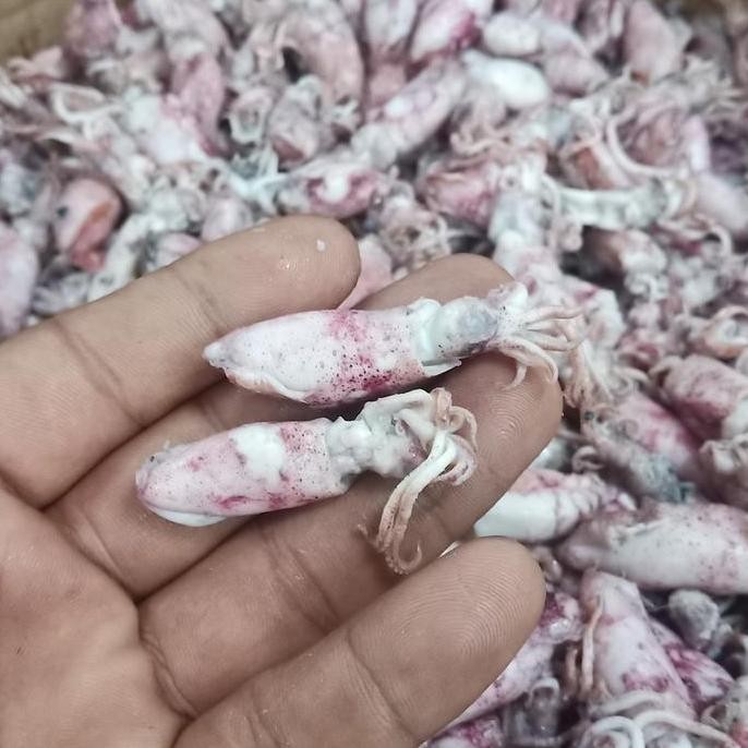 

Terlaris | Terbaru | Best Seller | Termurah Ikan Asin Cumi Baby 1Kg Original | High Quality | Berkualitas