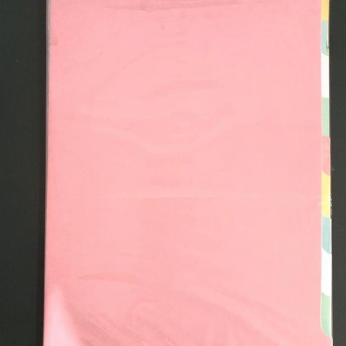 

New Divider karton A4 10 tab