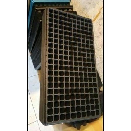 [Expert] Tray Semai 200 Lubang Tebal dan Bagus