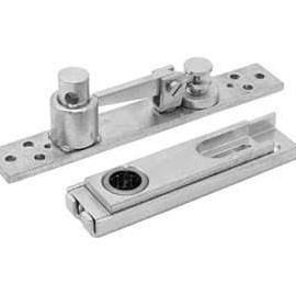 Dorma 8066 + 7421 (Stang BTS 80)