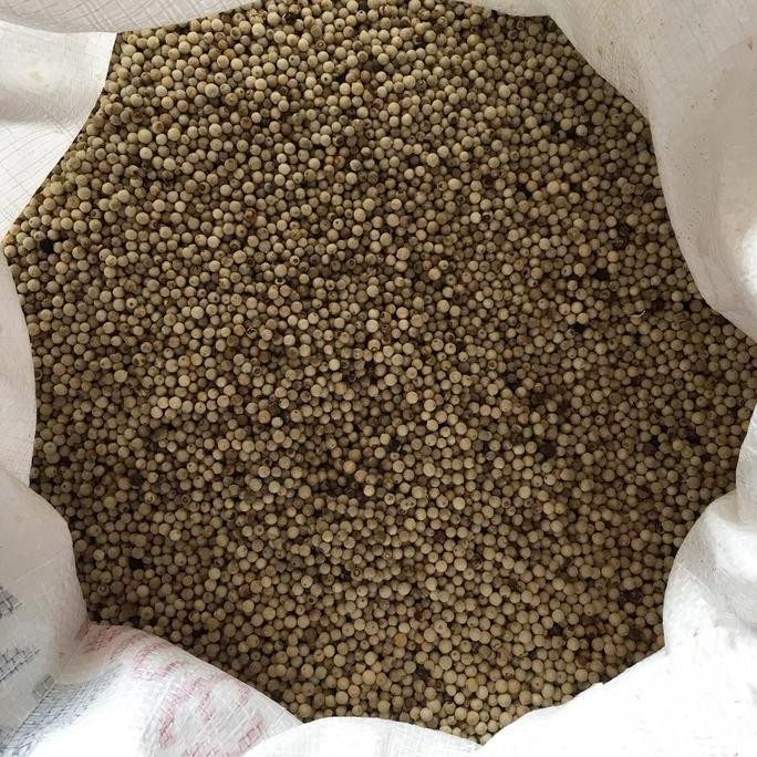 

Lada Putih Butir 1 Kg / Merica Utuh / Bumbu Rempah / Bumbu dapur