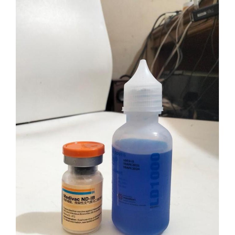 Vaksinasi vaksin ayam nd ib dosis 1000 ekor ayam