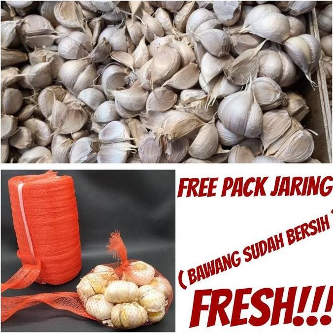 

Original Bawang Putih Kating Import 1Kg Kualitas Super untuk Masak dan Obat Herbal