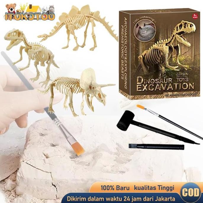 1 Set Mainan Fosil Dinosaurus Anak /  Edukasi Arkeologi Dino Fosil Gypsum