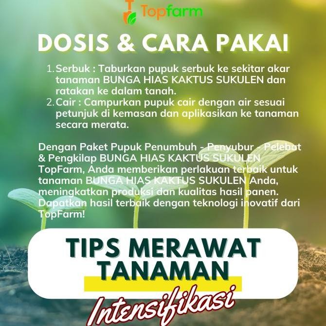 Ready Pupuk Kaktus Sukulen - Pupuk Khusus Kaktus Sukulen / Pupuk Tanaman Sukulen / Pupuk Tanaman Hia