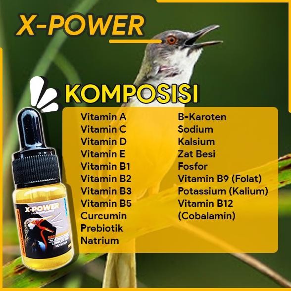 Exclusive Pioonervet - Promo X Power Vitamin Obat Burung Lovebird Kenari Kacer Jalak Suren Murai Bat