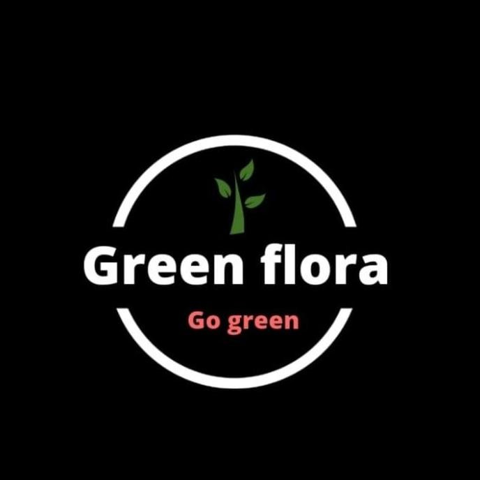 bibit pohon jengkol-pohon buah jengkol-tanaman jengkol HOKyy BISA COD