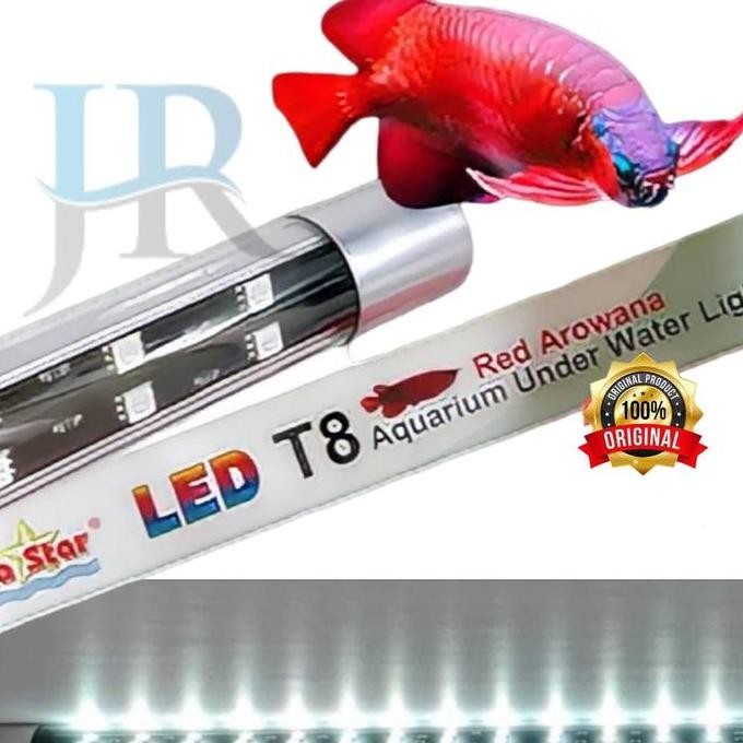 Lampu tanning T8 60 80 100 cm LED aquarium arwana louhan Nikita Star