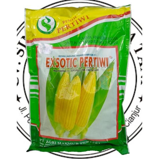 benih jagung manis hibrida exotic f1 -+1750 biji Nugi