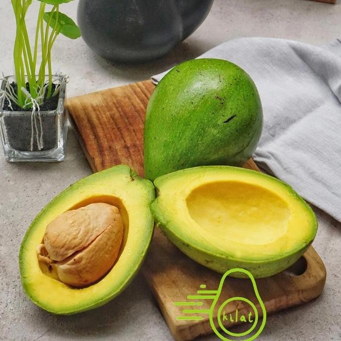

Tersedia Alpukat Mentega Regular Buah Alpukat Segar Premium