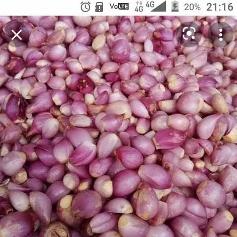 

Diskon! Bawang Merah Kupas Bersih 500gr Siap Masak