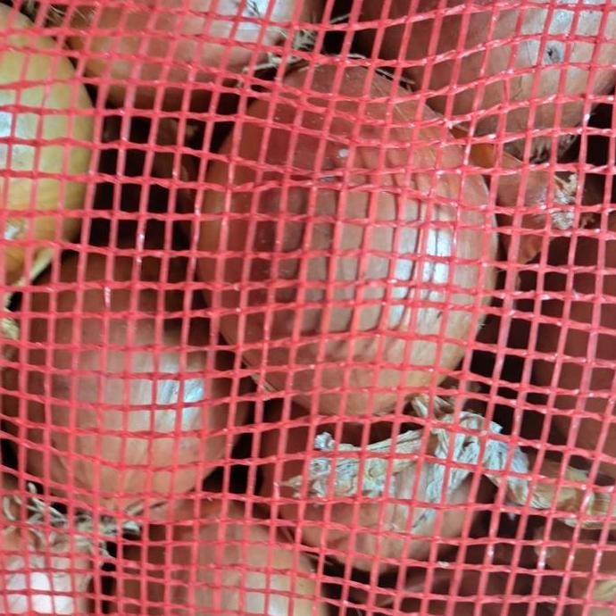 

Diskon! Bawang Bombay Kecil 5kg - Segar Siap Masak