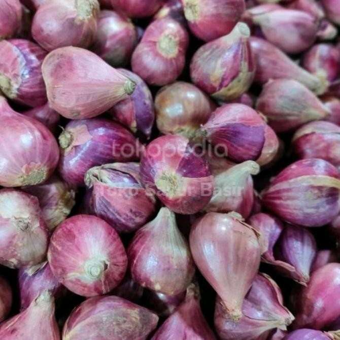 

Diskon! Bawang Merah Brebes Super Segar 1kg Kualitas Premium